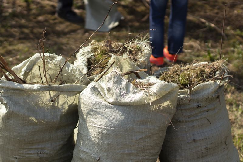 Customer Satisfaction Focus